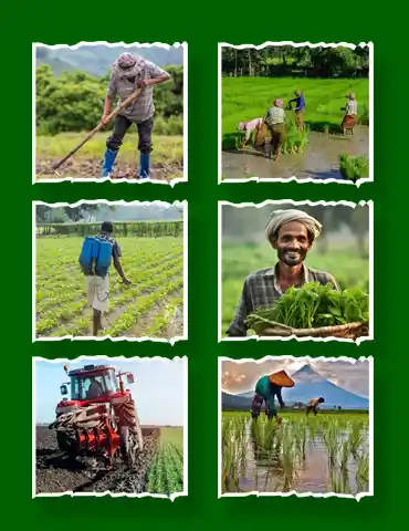 FARMER-INTEGRATION