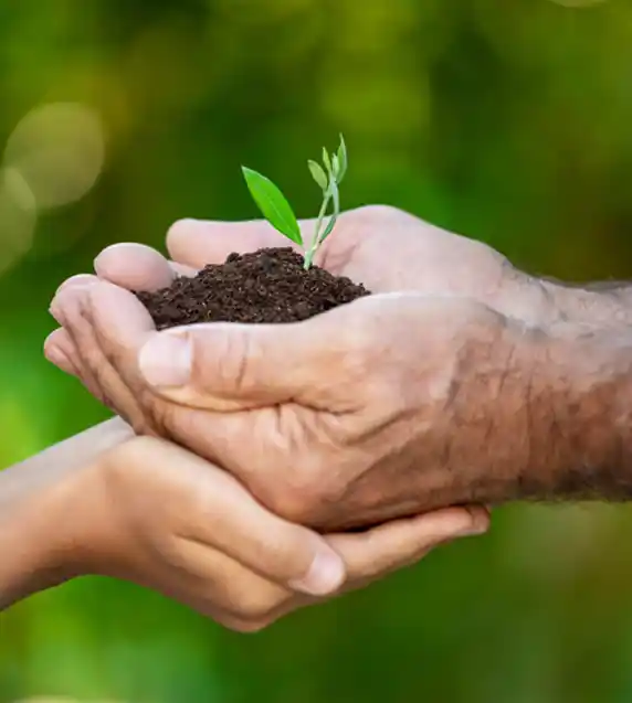 Sustainability