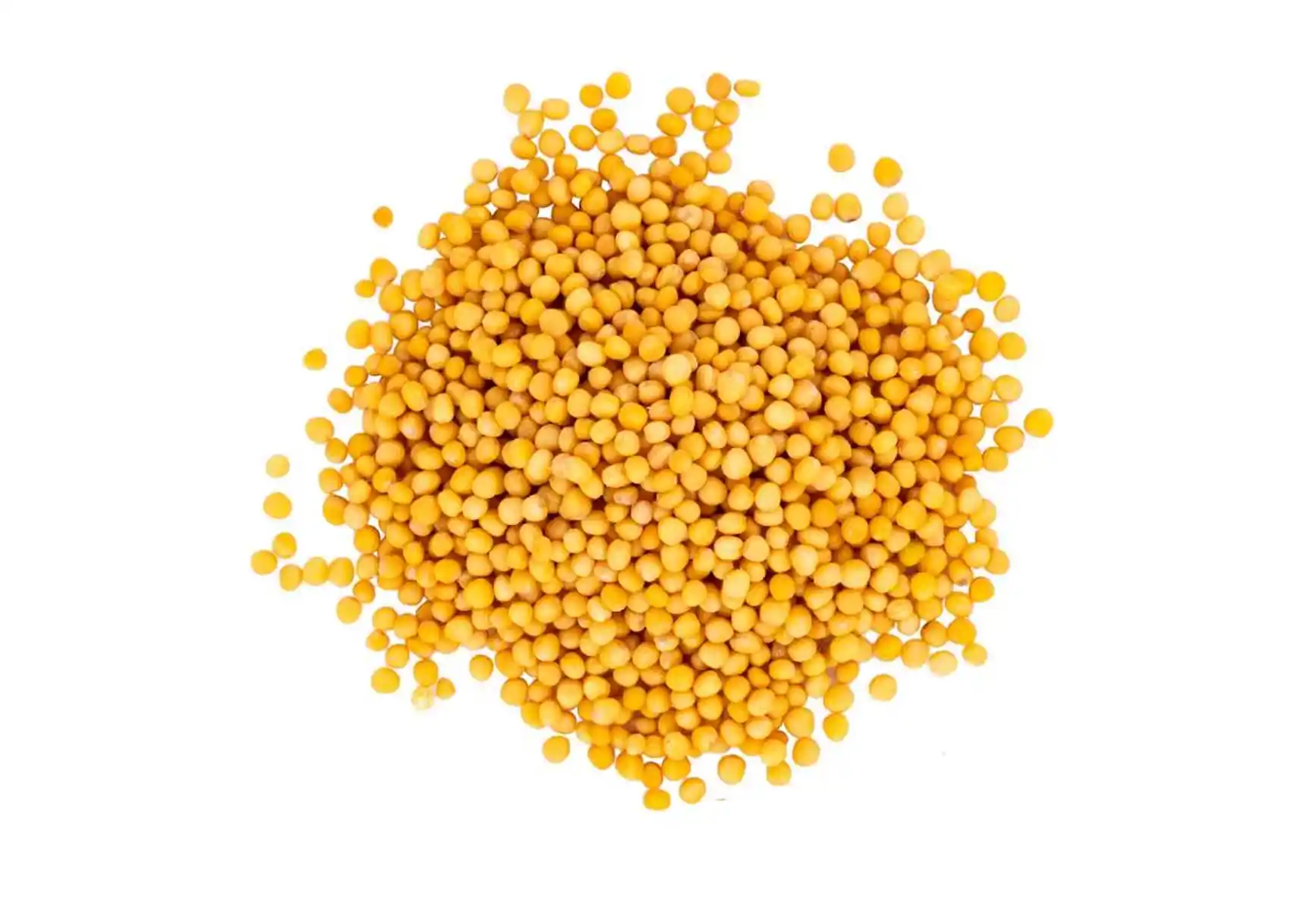 Mustard Seed